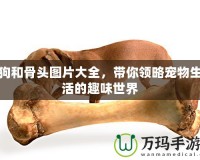 狗和骨頭圖片大全，帶你領(lǐng)略寵物生活的趣味世界