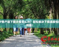 CF客戶端下載太慢怎么辦？輕松解決下載速度慢的煩惱！