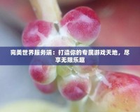 完美世界服務(wù)端：打造你的專屬游戲天地，盡享無限樂趣