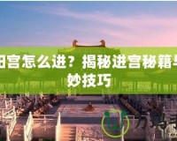 殘陽宮怎么進？揭秘進宮秘籍與絕妙技巧