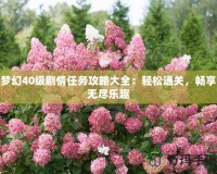 夢幻40級劇情任務(wù)攻略大全：輕松通關(guān)，暢享無盡樂趣