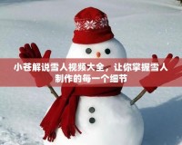 小蒼解說雪人視頻大全，讓你掌握雪人制作的每一個細(xì)節(jié)