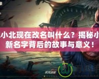 lol小北現在改名叫什么？揭秘小北新名字背后的故事與意義！