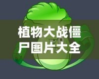 植物大戰(zhàn)僵尸圖片大全簡(jiǎn)筆畫(huà)植物圖鑒，讓你輕松掌握所有植物與僵尸！