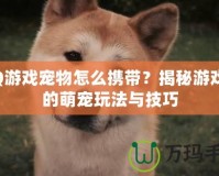 QQ游戲寵物怎么攜帶？揭秘游戲中的萌寵玩法與技巧