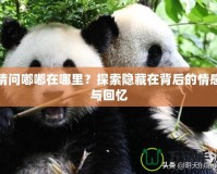 請問嘟嘟在哪里？探索隱藏在背后的情感與回憶