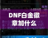 DNF白金徽章加什么？全方位提升角色戰(zhàn)力的最佳選擇