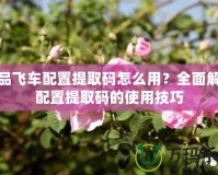 極品飛車配置提取碼怎么用？全面解讀配置提取碼的使用技巧