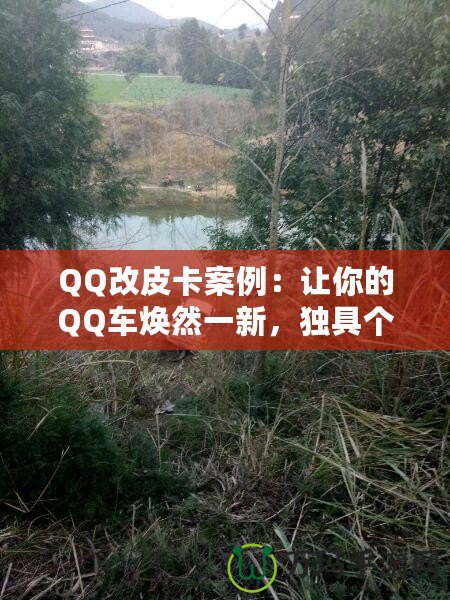 QQ改皮卡案例：讓你的QQ車煥然一新，獨具個性！