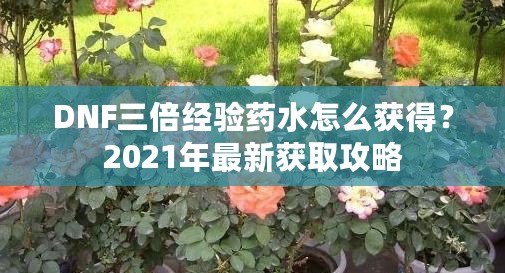 DNF三倍經(jīng)驗(yàn)藥水怎么獲得？2021年最新獲取攻略