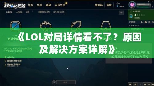 《LOL對局詳情看不了？原因及解決方案詳解》