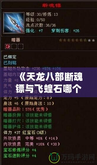 《天龍八部斷魂鏢與飛蝗石哪個好？終極對決，帶你深入了解兩大神兵利器！》