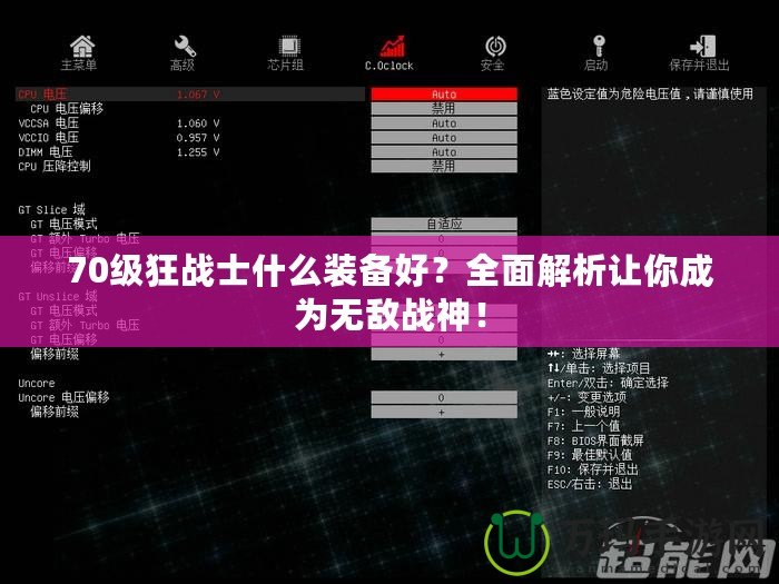 70級(jí)狂戰(zhàn)士什么裝備好？全面解析讓你成為無(wú)敵戰(zhàn)神！