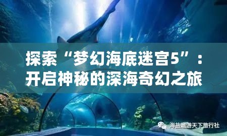 探索“夢(mèng)幻海底迷宮5”：開(kāi)啟神秘的深海奇幻之旅！