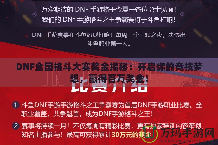 DNF全國格斗大賽獎金揭秘：開啟你的競技夢想，贏得百萬獎金！