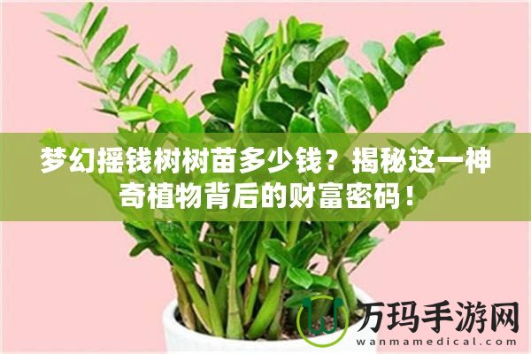 夢幻搖錢樹樹苗多少錢？揭秘這一神奇植物背后的財富密碼！