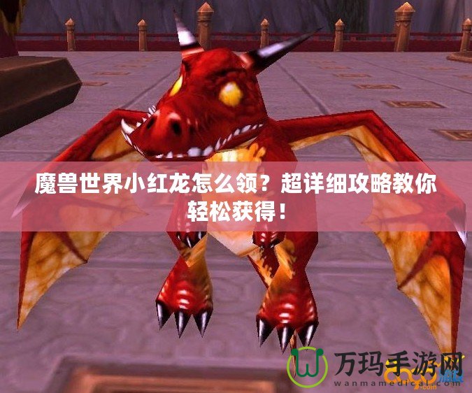 魔獸世界小紅龍怎么領(lǐng)？超詳細攻略教你輕松獲得！