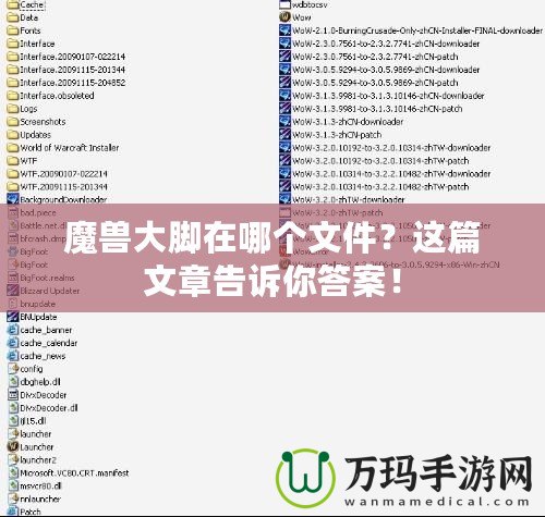 魔獸大腳在哪個(gè)文件？這篇文章告訴你答案！