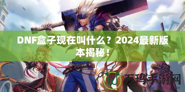 DNF盒子現(xiàn)在叫什么？2024最新版本揭秘！