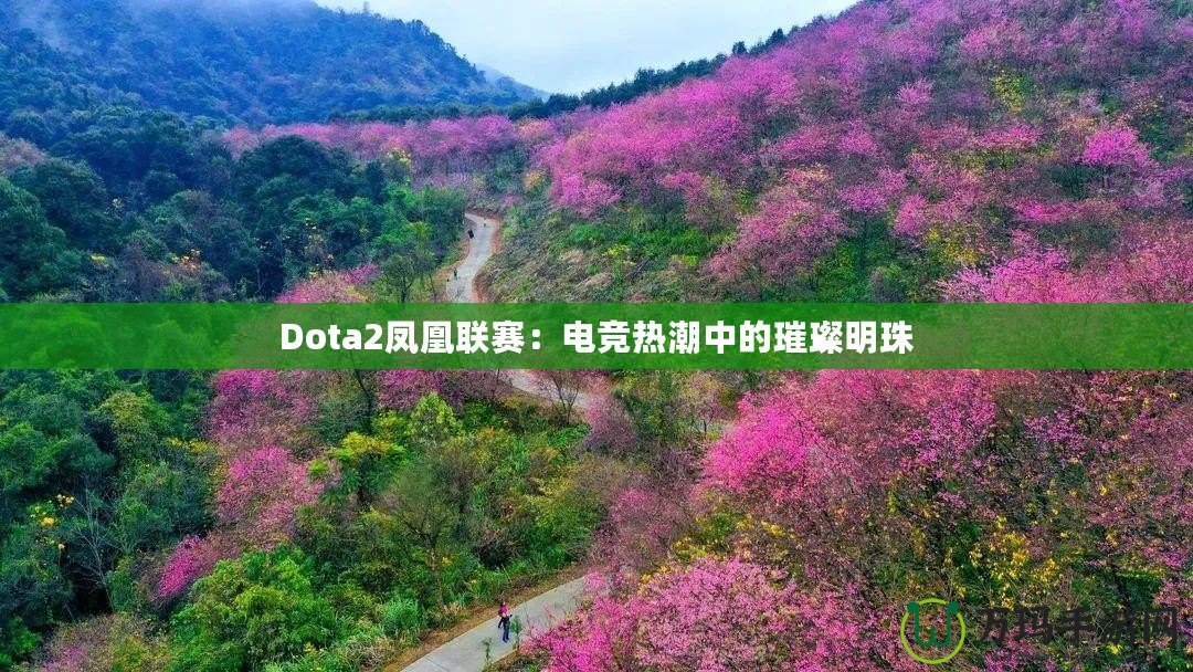 Dota2鳳凰聯(lián)賽：電競(jìng)熱潮中的璀璨明珠