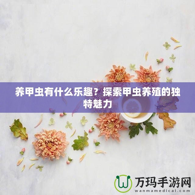 養(yǎng)甲蟲有什么樂趣？探索甲蟲養(yǎng)殖的獨(dú)特魅力