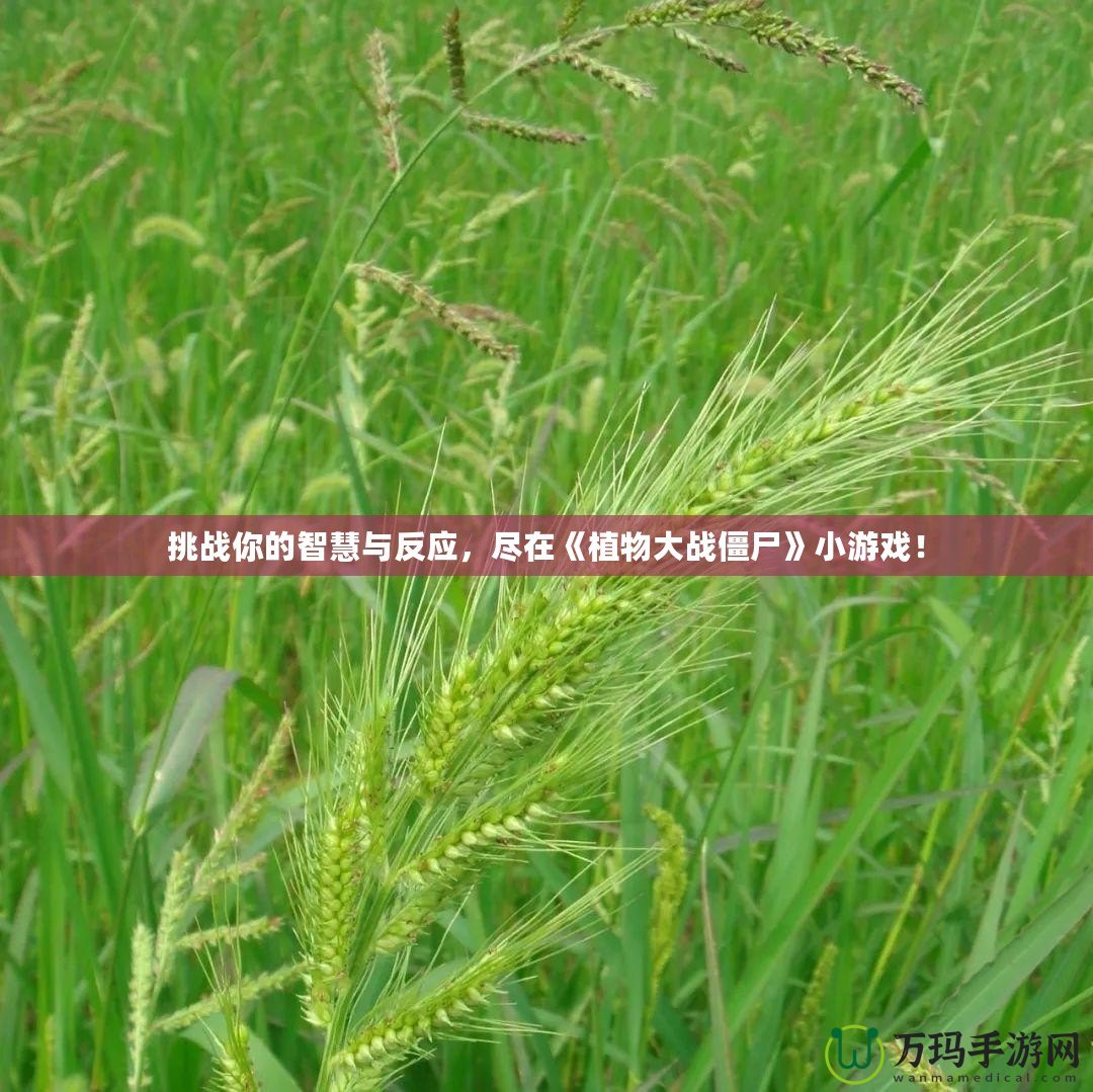 挑戰(zhàn)你的智慧與反應(yīng)，盡在《植物大戰(zhàn)僵尸》小游戲！