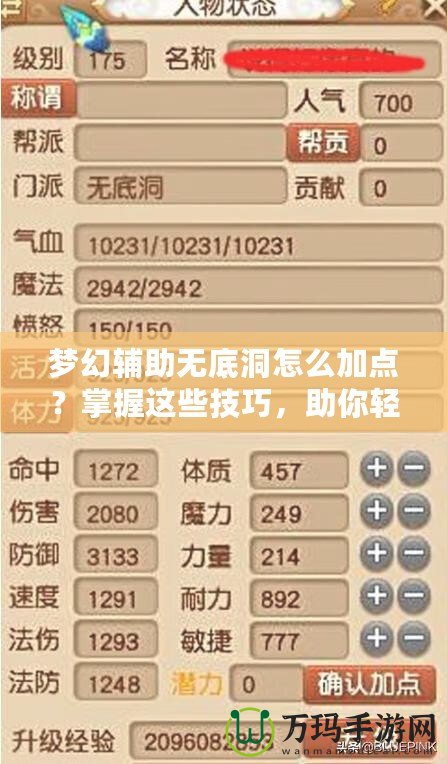 夢(mèng)幻輔助無底洞怎么加點(diǎn)？掌握這些技巧，助你輕松提升實(shí)力！