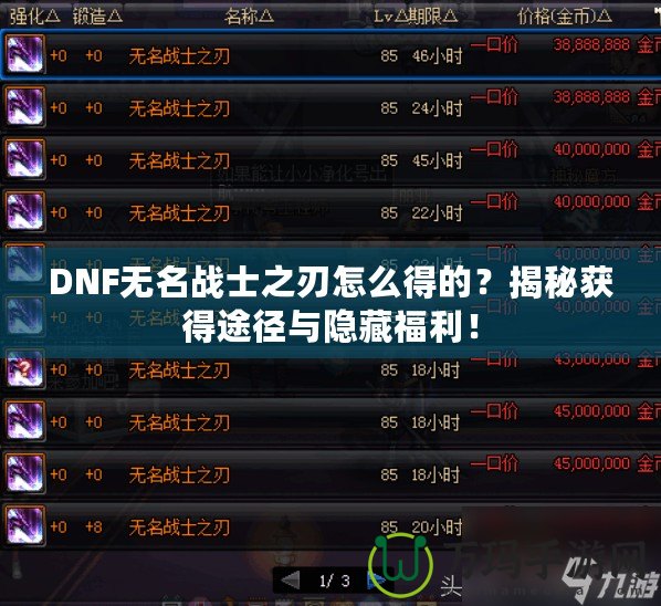 DNF無名戰(zhàn)士之刃怎么得的？揭秘獲得途徑與隱藏福利！