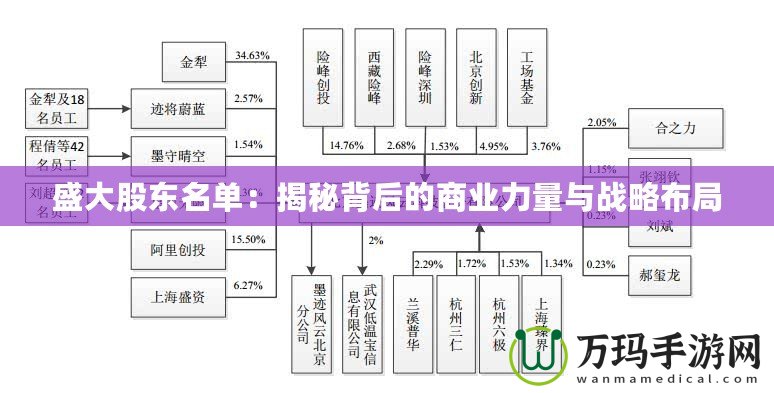 盛大股東名單：揭秘背后的商業(yè)力量與戰(zhàn)略布局