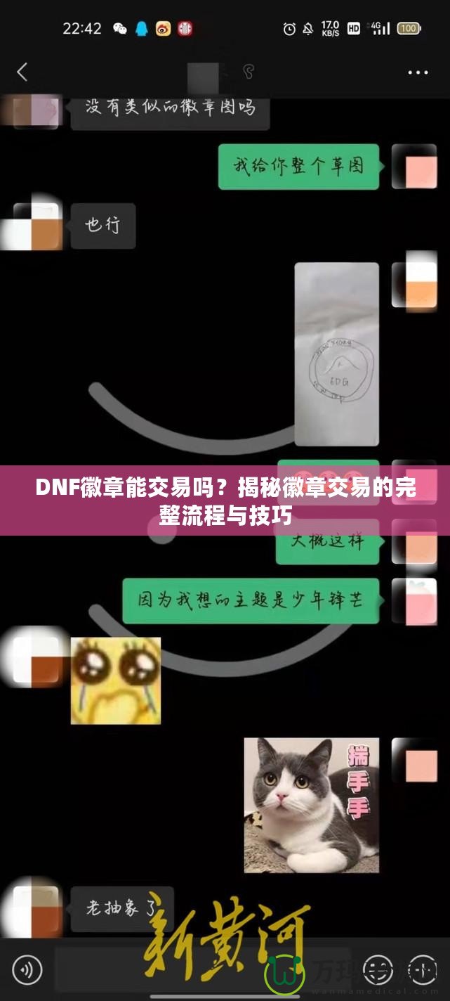 DNF徽章能交易嗎？揭秘徽章交易的完整流程與技巧