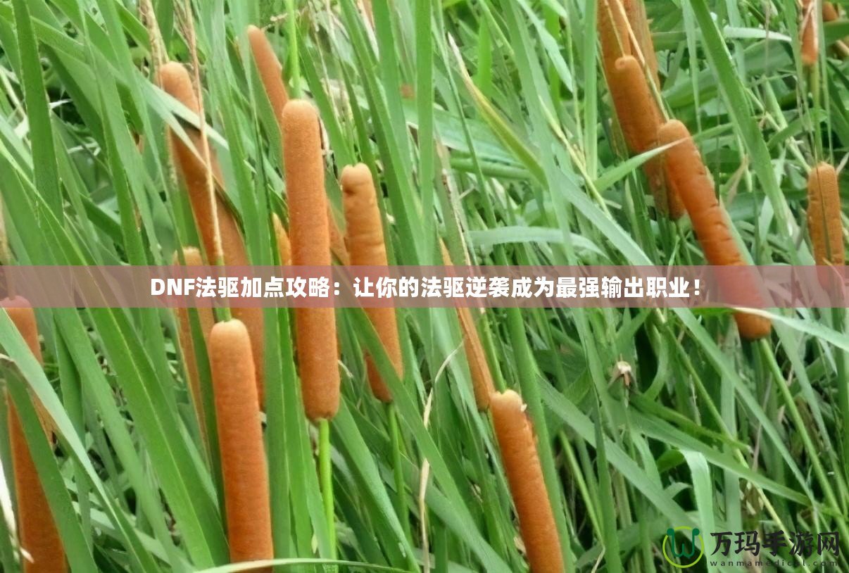 DNF法驅(qū)加點(diǎn)攻略：讓你的法驅(qū)逆襲成為最強(qiáng)輸出職業(yè)！