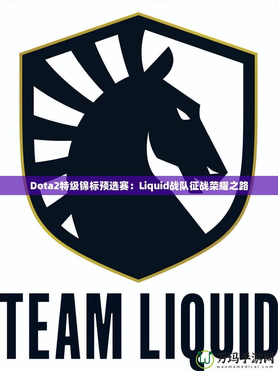 Dota2特級錦標(biāo)預(yù)選賽：Liquid戰(zhàn)隊征戰(zhàn)榮耀之路