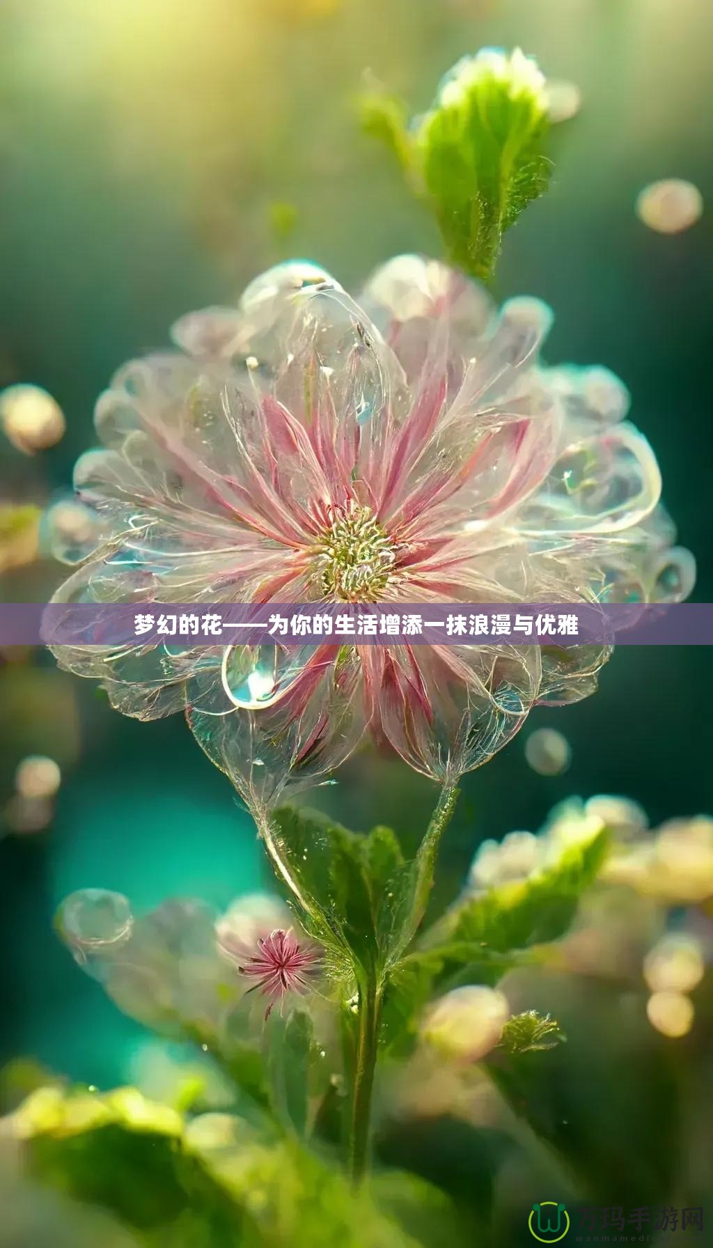 夢幻的花——為你的生活增添一抹浪漫與優(yōu)雅