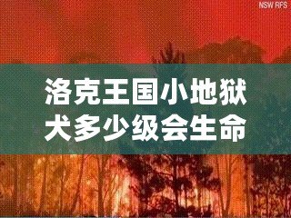 洛克王國(guó)小地獄犬多少級(jí)會(huì)生命火焰？揭秘最強(qiáng)寵物成長(zhǎng)路線(xiàn)！