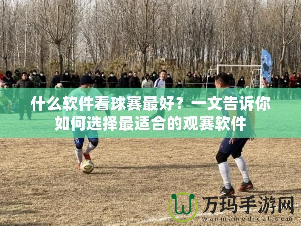 什么軟件看球賽最好？一文告訴你如何選擇最適合的觀賽軟件