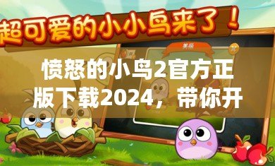 憤怒的小鳥2官方正版下載2024，帶你開啟全新冒險之旅