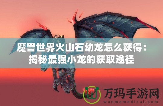 魔獸世界火山石幼龍?jiān)趺传@得：揭秘最強(qiáng)小龍的獲取途徑