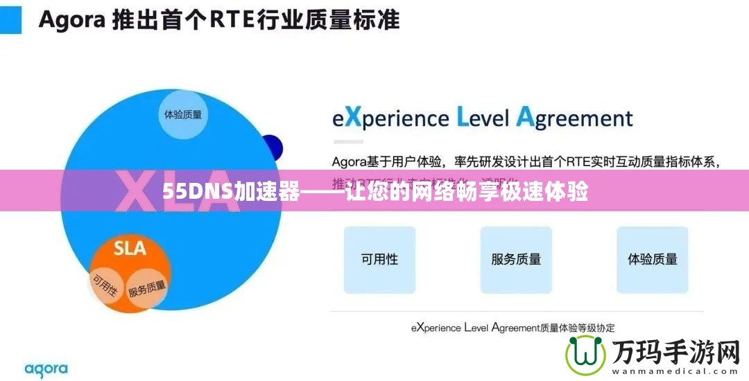 55DNS加速器——讓您的網絡暢享極速體驗