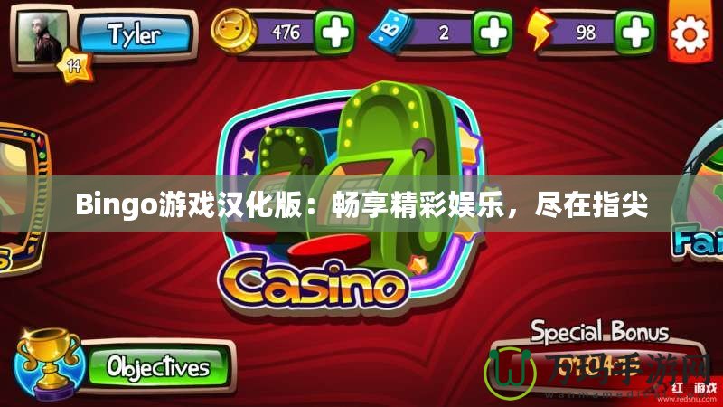 Bingo游戲漢化版：暢享精彩娛樂，盡在指尖