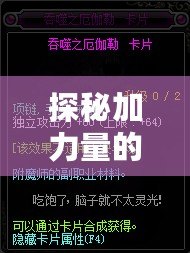 探秘加力量的寶珠——它是如何提升你的力量和運(yùn)勢(shì)的？