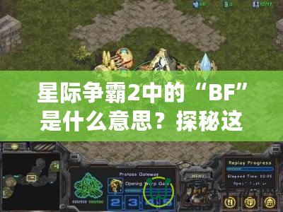 星際爭(zhēng)霸2中的“BF”是什么意思？探秘這個(gè)詞匯背后的深層含義