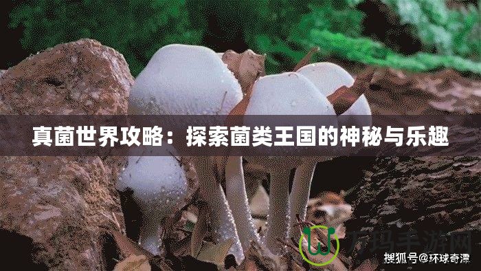 真菌世界攻略：探索菌類王國的神秘與樂趣