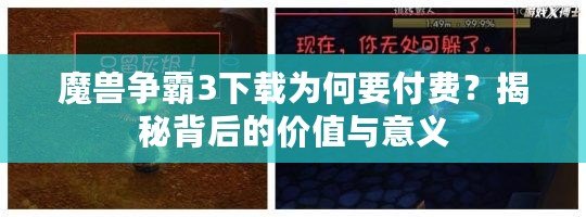 魔獸爭霸3下載為何要付費？揭秘背后的價值與意義