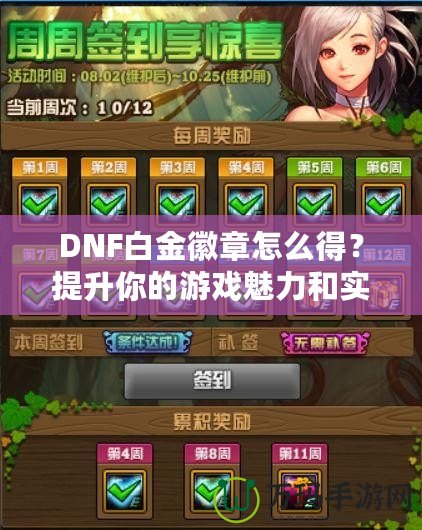 DNF白金徽章怎么得？提升你的游戲魅力和實力！