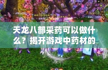 天龍八部采藥可以做什么？揭開游戲中藥材的神秘面紗！