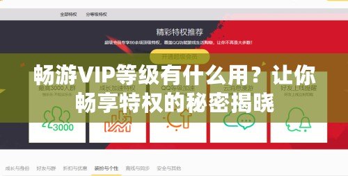 暢游VIP等級有什么用？讓你暢享特權的秘密揭曉