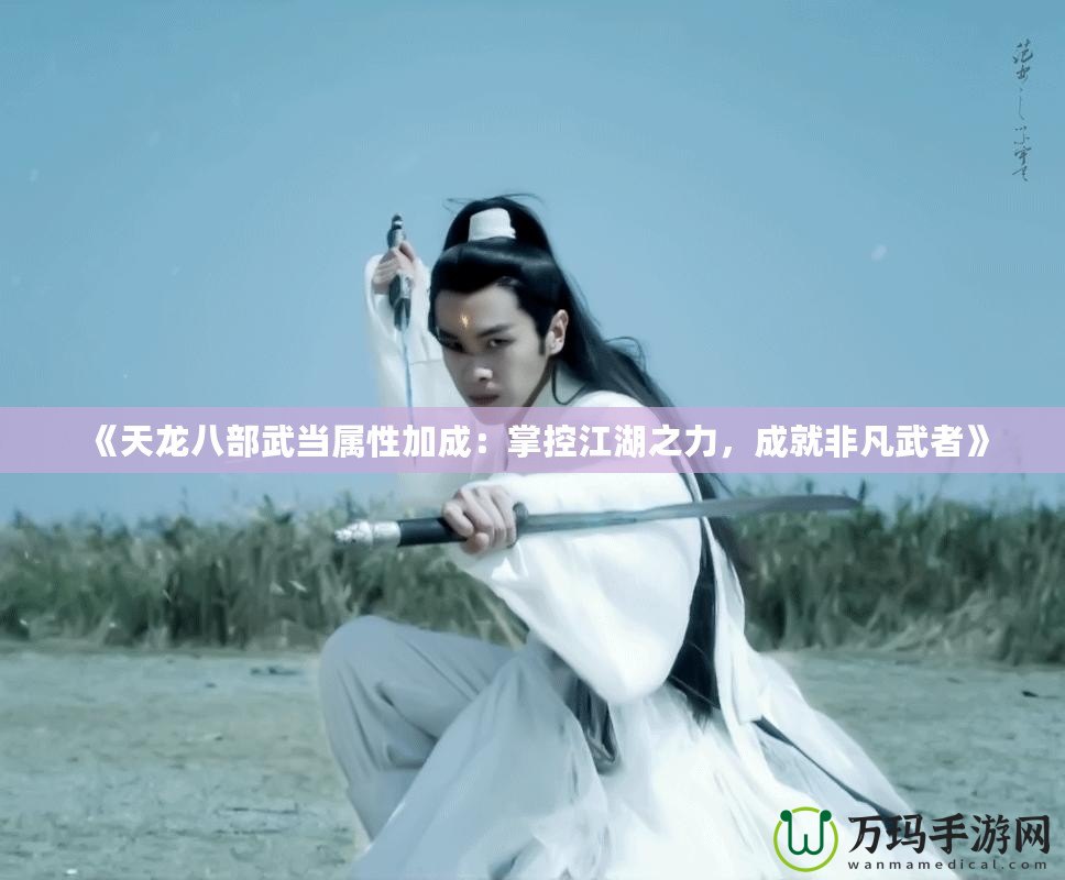 《天龍八部武當(dāng)屬性加成：掌控江湖之力，成就非凡武者》