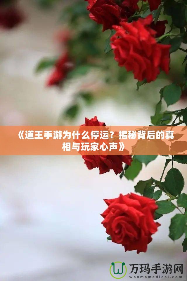 《道王手游為什么停運？揭秘背后的真相與玩家心聲》