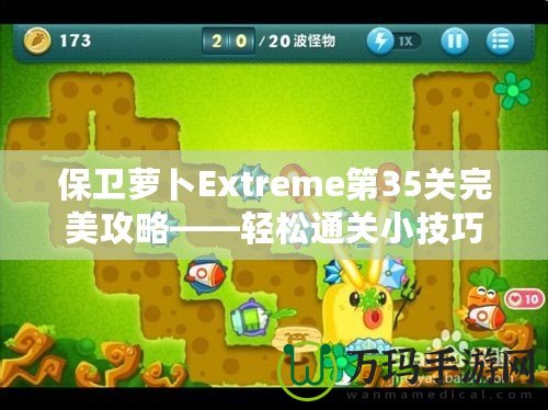 保衛(wèi)蘿卜Extreme第35關(guān)完美攻略——輕松通關(guān)小技巧