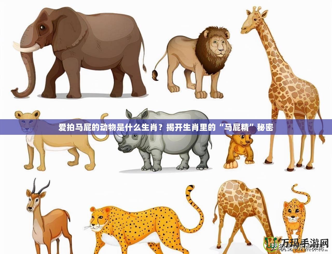 愛拍馬屁的動物是什么生肖？揭開生肖里的“馬屁精”秘密